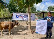 Perkuat Hubungan Dengan Masyarakat, BRI RO Jakarta 2 Serahkan Hewan Kurban ke Timur Indonesia