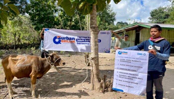 Perkuat Hubungan Dengan Masyarakat, BRI RO Jakarta 2 Serahkan Hewan Kurban ke Timur Indonesia