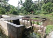 PLN dan BUMDes Pangasihan Resmikan Program TJSL Guna Peningkatan Kesehatan dan Air Bersih