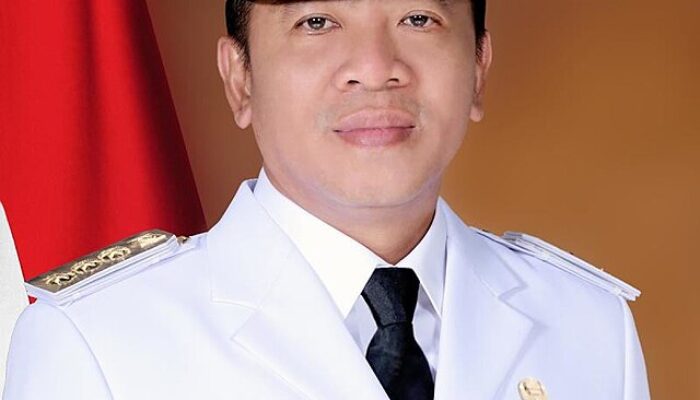 Sah Dilantik Jadi Bupati Karawang, Ini Profil H. Aep Syaepuloh
