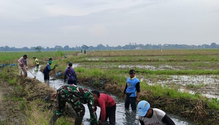 Jumsih, Babinsa Bersama Petani Berjibaku Bersihkan Saluran Air Persawahan di Tempuran