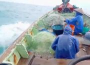 Sanda Adnan, Nelayan Rajungan yang Berjuang Demi Keluarga dan Tradisi