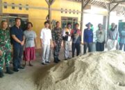 Bulog Purwasari II dan TNI AD Bahu Membahu Serap Gabah Petani Karawang