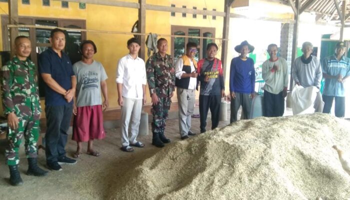 Bulog Purwasari II dan TNI AD Bahu Membahu Serap Gabah Petani Karawang