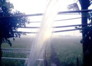 Hujan Rahmat di Bulan Ramadan, Sejukkan Hati Umat Muslim