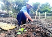 Bikin Iri Tetangga! Ini Cara RT di Plawad Sulap Tanah Nganggur Jadi Sumber Pangan Mandiri