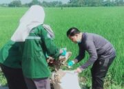Sinergi Multistakeholder dalam Program ASIH SALIRA, LPM Plawad Sebut Sebagai Manifestasi Gotong Royong Kontemporer