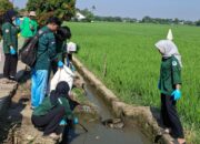 Sinergi Mahasiswa dan Warga, Kunci Keberhasilan Program Pengabdian Masyarakat di Plawad