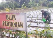 Korem 063/SGJ Gencarkan Program Ketahanan Pangan, Gandeng Babinsa sebagai Profesor Pertanian