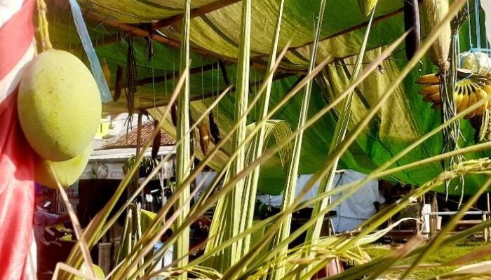 Warga Krajan Plawad Gelar “Hajat Bumi”, Tradisi Turun-temurun Ungkapan Syukur dan Kebersamaan