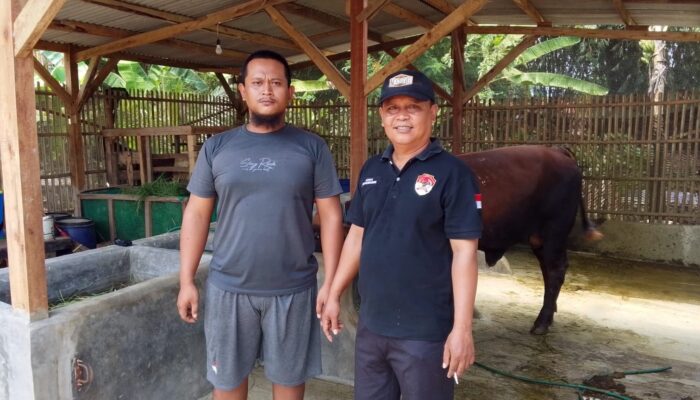 Kades Kalijaya Tegaskan Realisasi Ketahanan Pangan 2023 Tidak Ada yang Fiktif