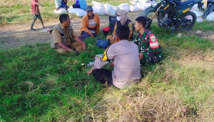 Ngobrol di Sawah, Lahirlah Solusi: Sinergi Hangat TNI-Polri untuk Petani Kalangsari
