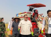 Jaga Karawang Tetap Menjadi Lumbung Pangan Indonesia, Dirut Bulog Ingatkan Dampak Alih Fungsi Lahan