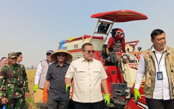 Jaga Karawang Tetap Menjadi Lumbung Pangan Indonesia, Dirut Bulog Ingatkan Dampak Alih Fungsi Lahan
