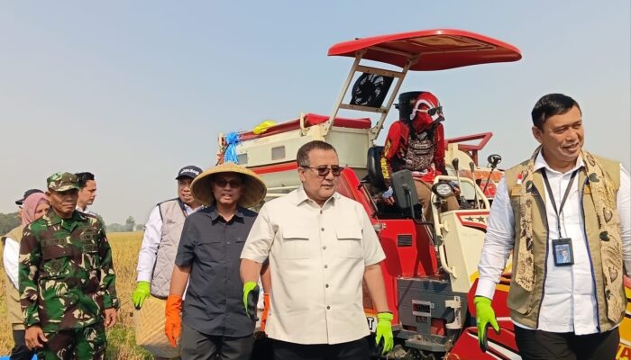 Jaga Karawang Tetap Menjadi Lumbung Pangan Indonesia, Dirut Bulog Ingatkan Dampak Alih Fungsi Lahan
