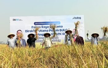 Kawal Swasembada Pangan, BPK RI Apresiasi Lonjakan Capaian Kinerja BULOG di Semester I