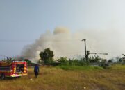 Aksi Cepat Damkar Rengasdengklok padamkan Kebakaran Lahan di Tunggak Jati, 11 Personel Dikerahkan