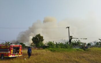 Aksi Cepat Damkar Rengasdengklok padamkan Kebakaran Lahan di Tunggak Jati, 11 Personel Dikerahkan