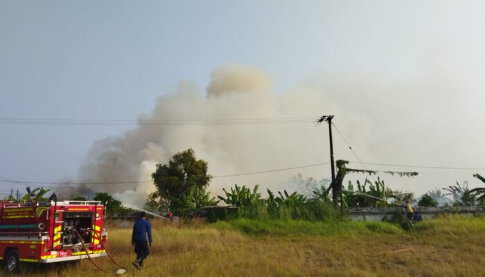Aksi Cepat Damkar Rengasdengklok padamkan Kebakaran Lahan di Tunggak Jati, 11 Personel Dikerahkan