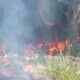 Lima Hari Api Sampah Belum Padam, RW 02 Imbau Warga Jangan Bakar Sampah Sembarangan